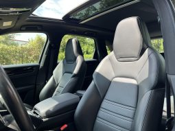 
										Porsche Cayenne E-Hybrid 2021 full									